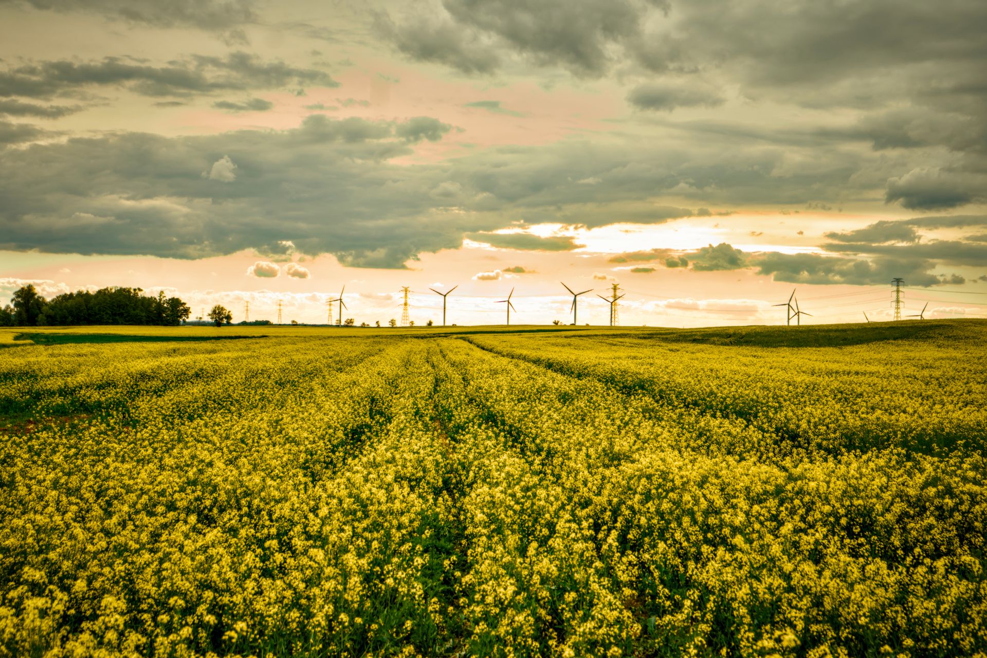 Wind farm with contract documents — corporate power purchase agreements